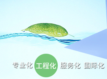 蓝星（北京）化工机械服务平台
